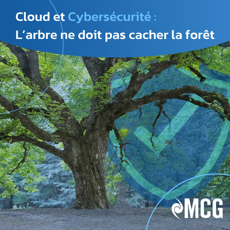 Le Cloud et la CyberSécurité : l’arbre ne doit pas cacher la forêt